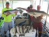 (08/21/2016) - Nice Striped Bass